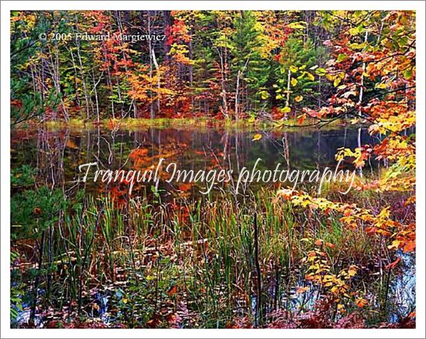 450235---Council Lake - Hiawatha National Forest - Copy